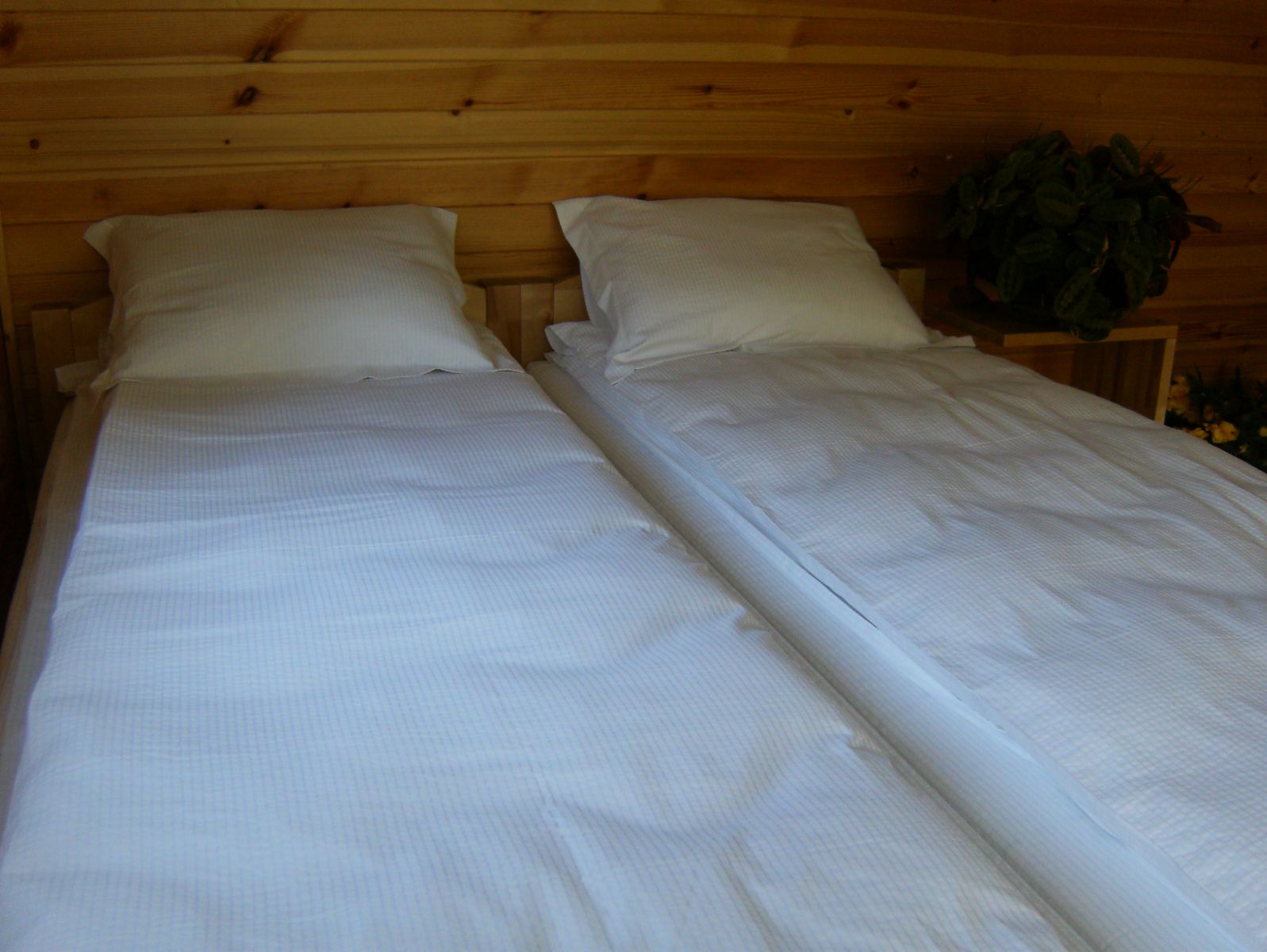 guest house in Cēsis